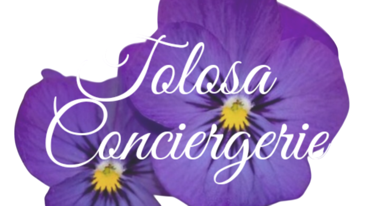 Tolosa Conciergerie